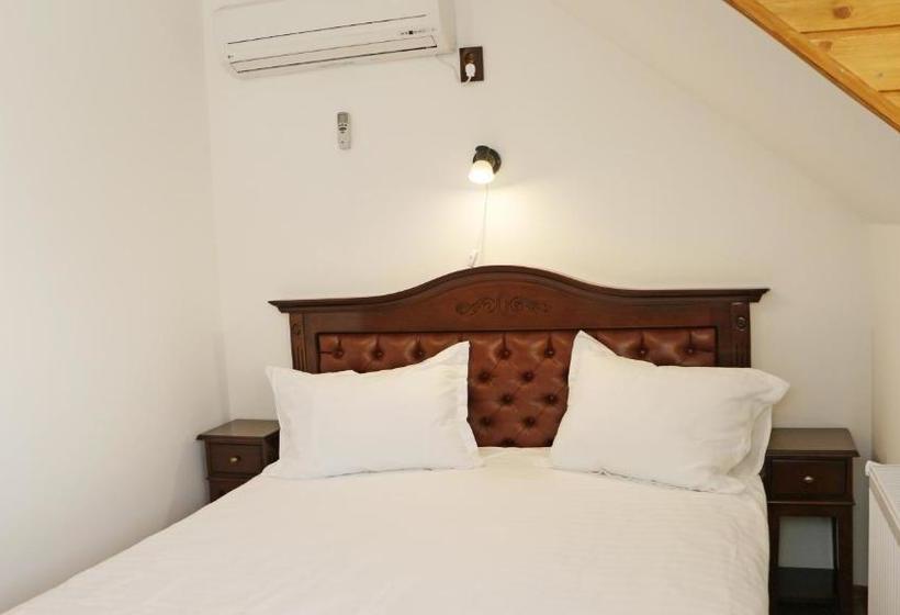 فندق صغير Hanu Lui Gica Spa