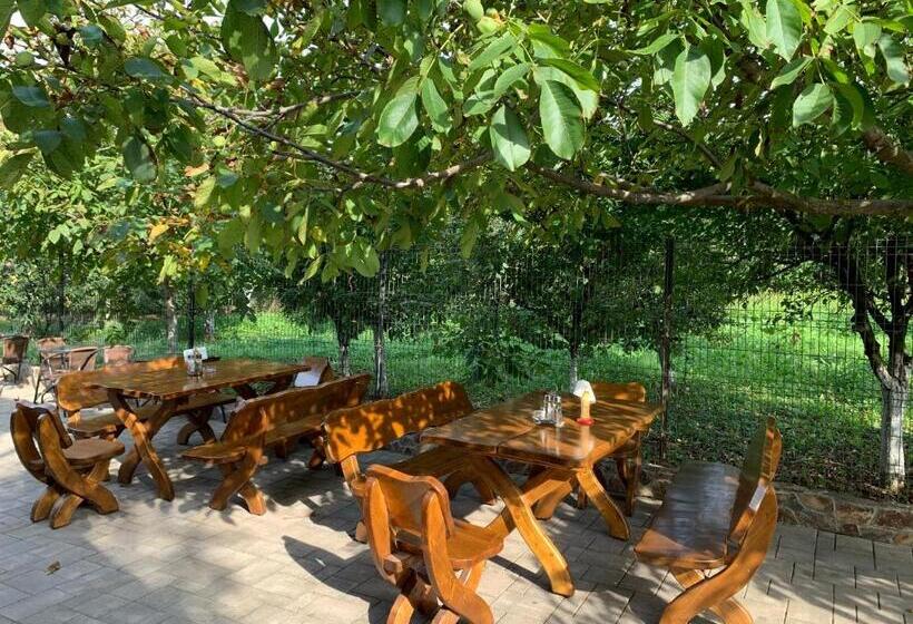 فندق صغير Hanu Lui Gica Spa