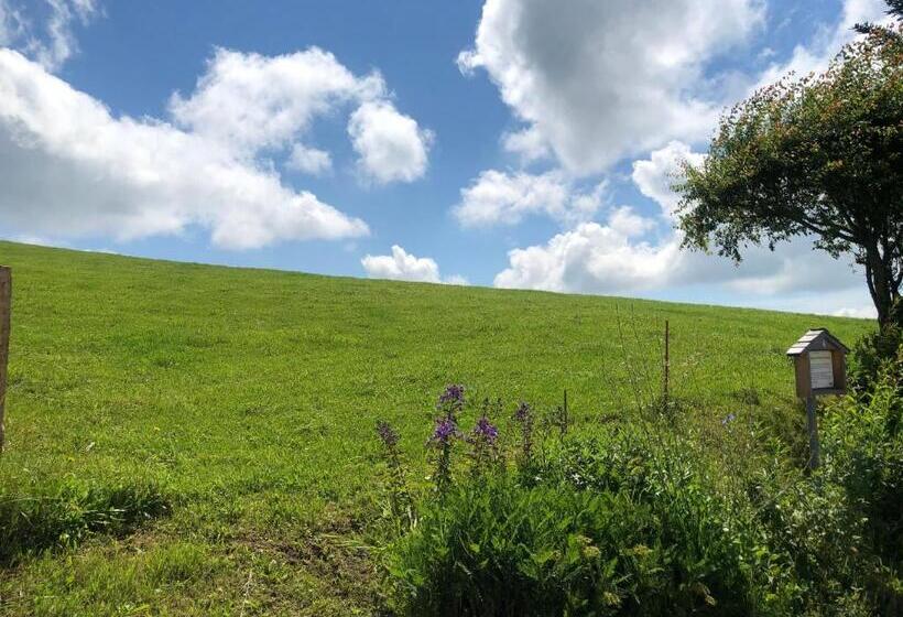ユースホステル Hirschen Wald Gasthaus & Bäckerei