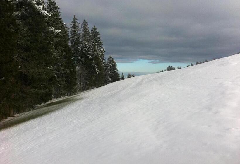 ユースホステル Hirschen Wald Gasthaus & Bäckerei