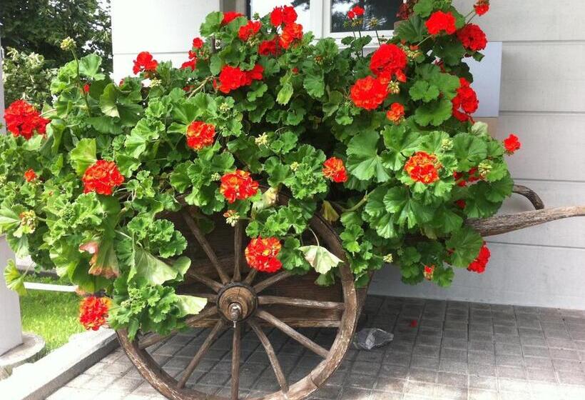 ユースホステル Hirschen Wald Gasthaus & Bäckerei