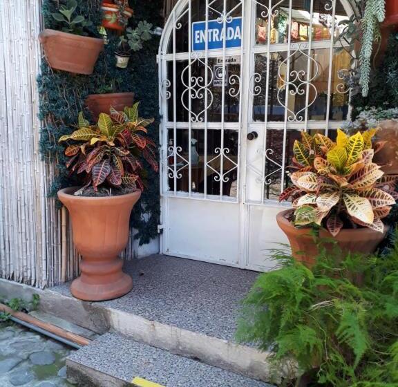 ユースホステル Temazcal Casa Gema