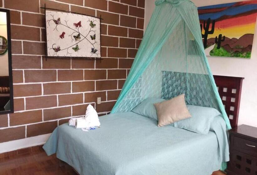 ユースホステル Temazcal Casa Gema