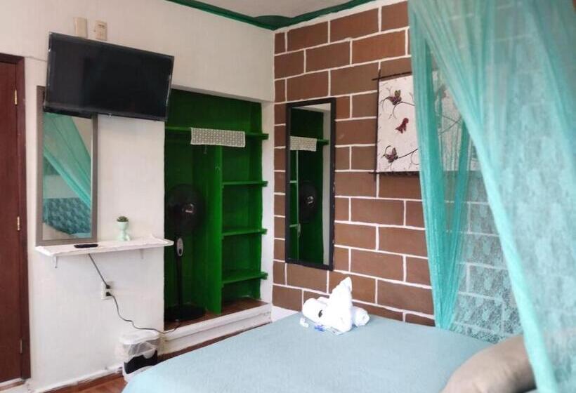 ユースホステル Temazcal Casa Gema