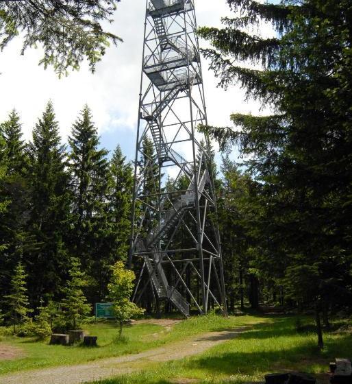 旅馆 Wildwiesenhof