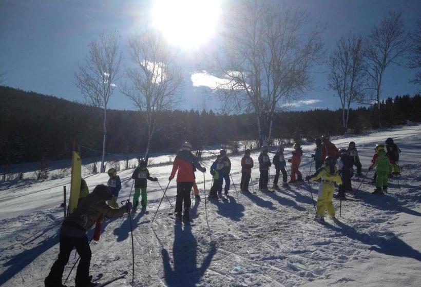 旅馆 Wildwiesenhof