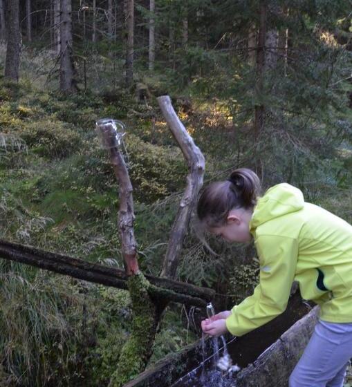 Общежитие Wildwiesenhof