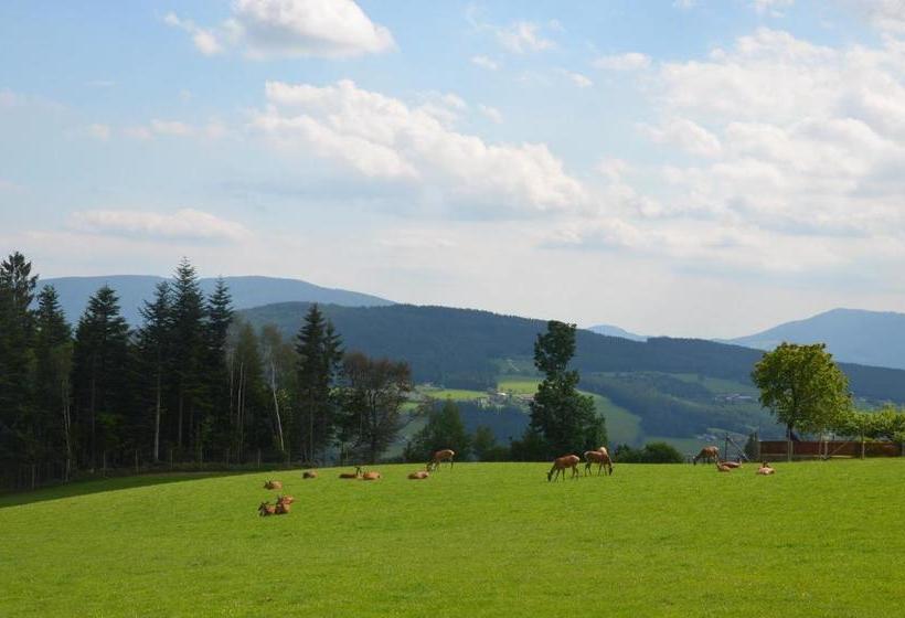 Общежитие Wildwiesenhof