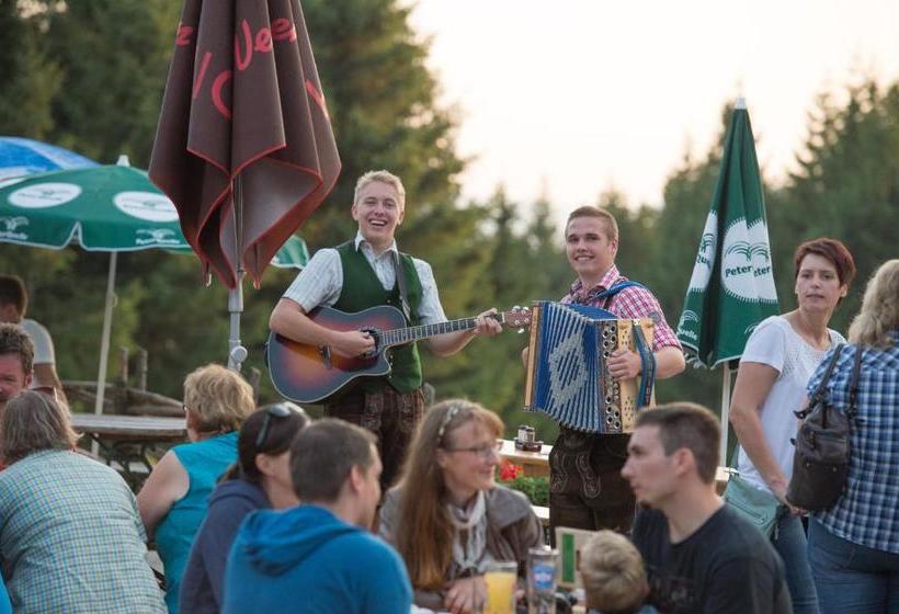 旅馆 Wildwiesenhof