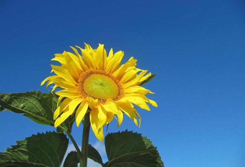 فندق Bauernhof Unterhöfner