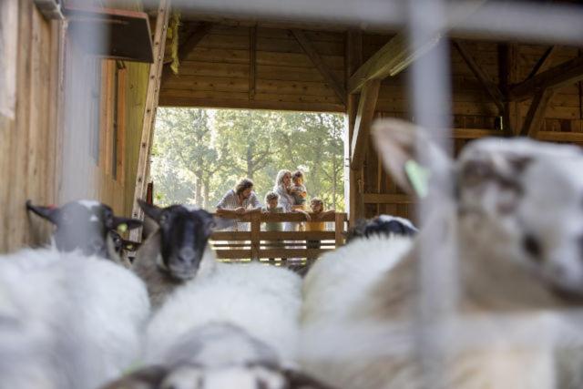 膳宿费 An De Esch