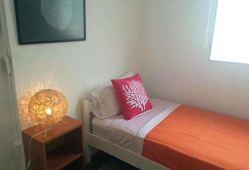 膳宿费 Casa Del Rayo Verde, Ito Solidario