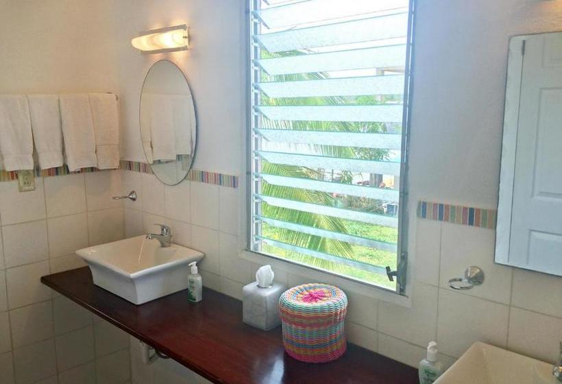 膳宿费 Casa Del Rayo Verde, Ito Solidario