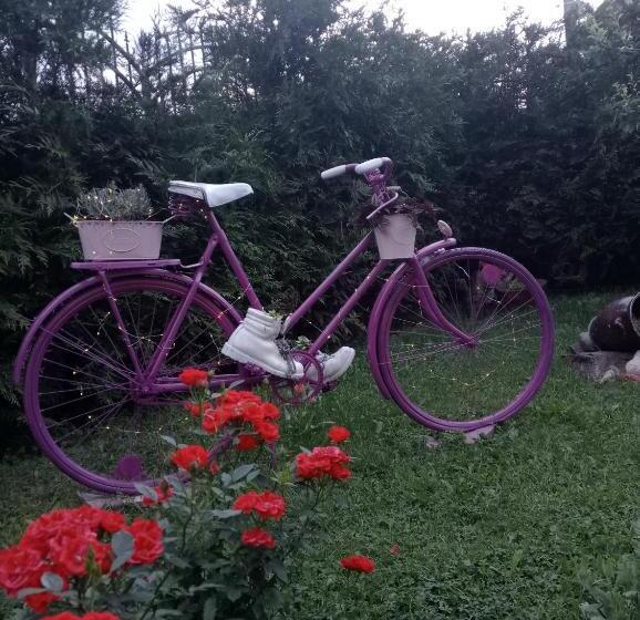 פנסיון Casa Raisa & Maria