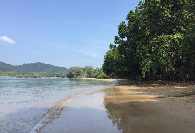 膳宿费 Dawn Of Happiness