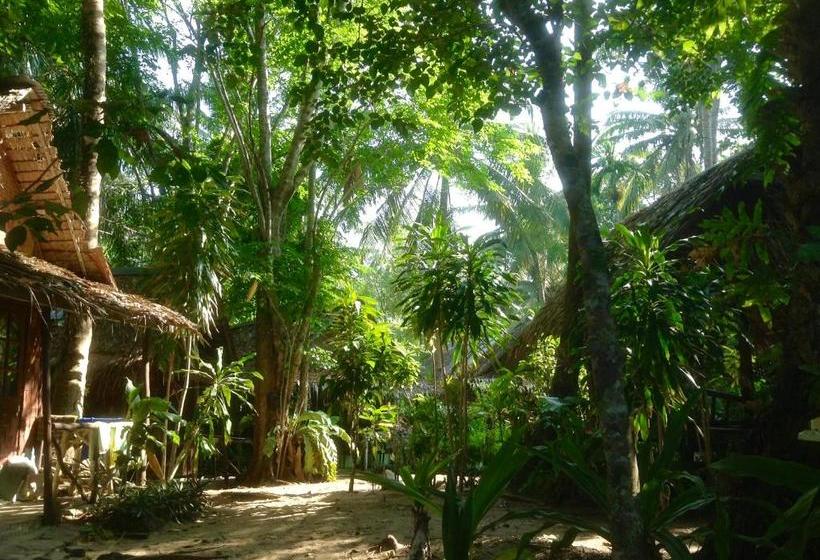 膳宿费 Dawn Of Happiness