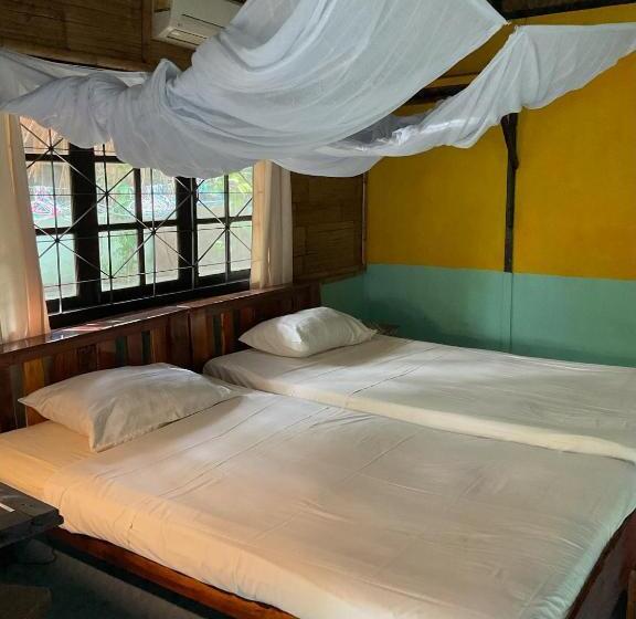 膳宿费 Dawn Of Happiness