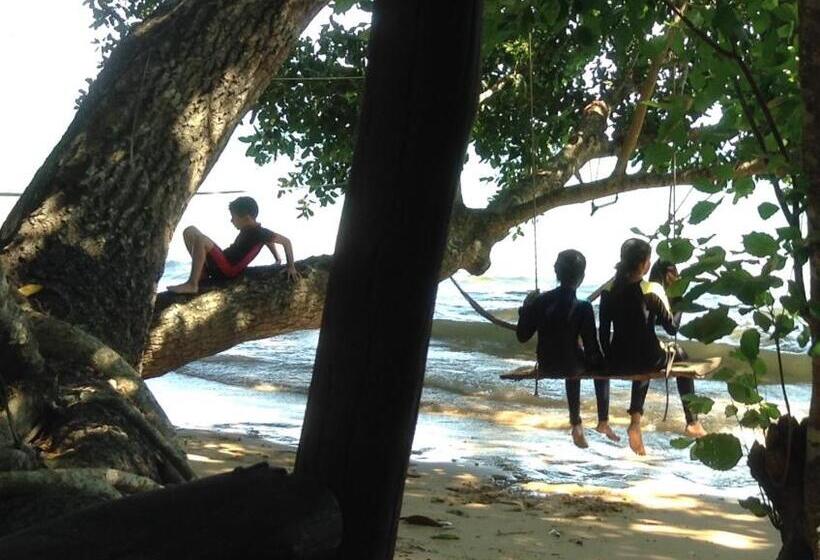 膳宿费 Dawn Of Happiness