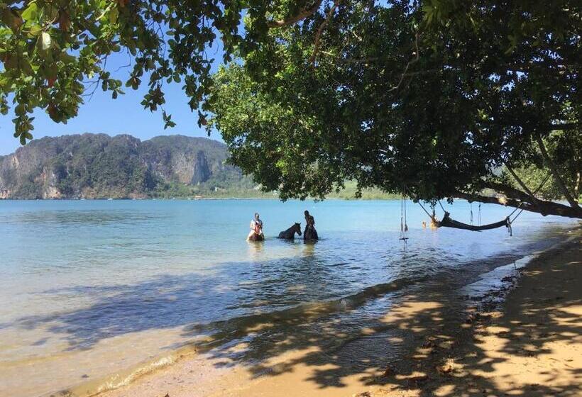 膳宿费 Dawn Of Happiness