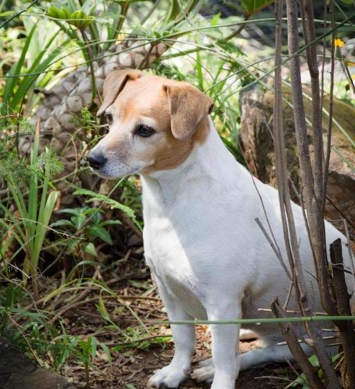 Пансион De Zoete Rust Guesthouse