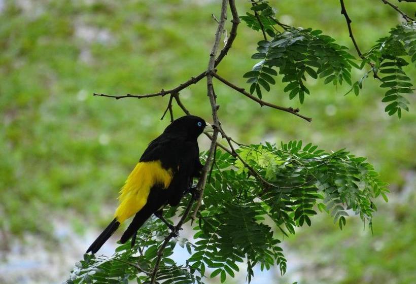 膳宿费 Eco Pousada Sinimbu