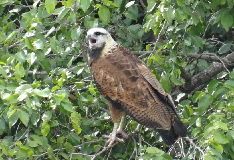 膳宿费 Eco Pousada Sinimbu