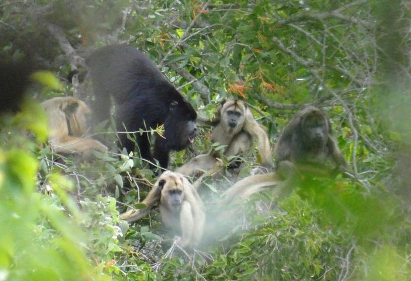 膳宿费 Eco Pousada Sinimbu