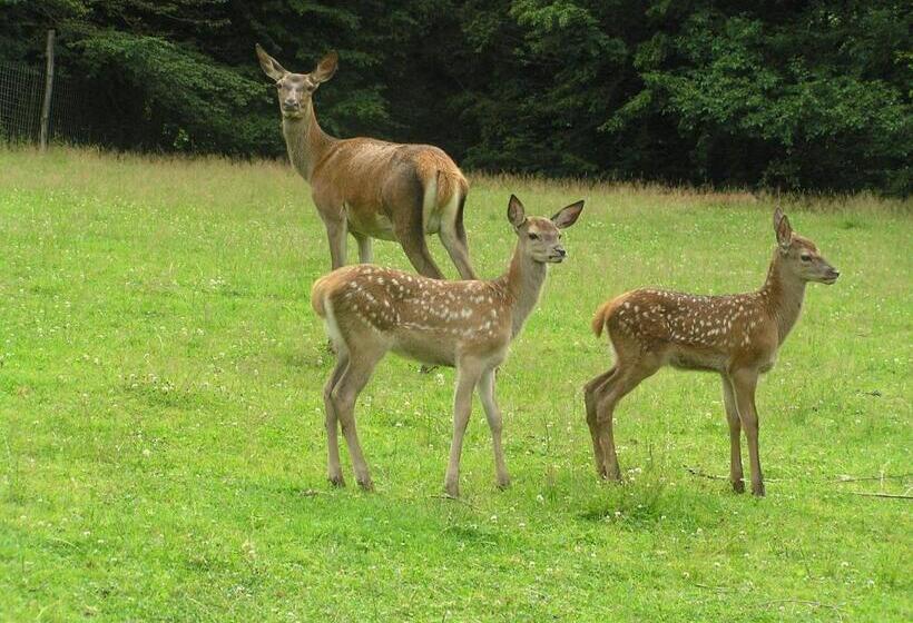 پانسیون Guest House Kveder