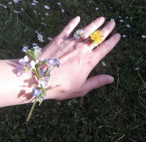 پانسیون Guest House Kveder