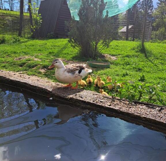 پانسیون Guest House Kveder