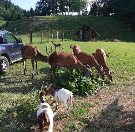 پانسیون Guest House Kveder