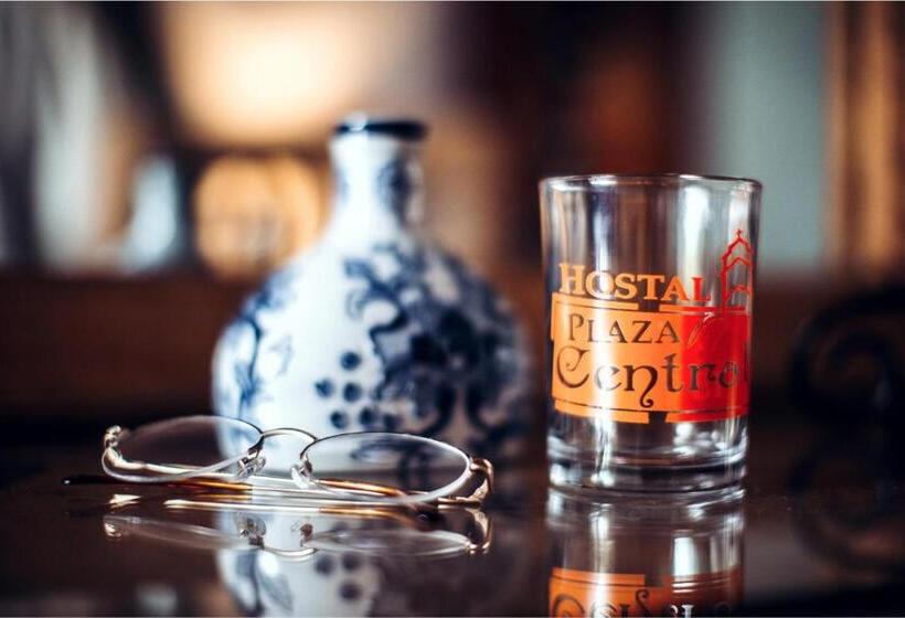 膳宿费 Hostal Plaza Central