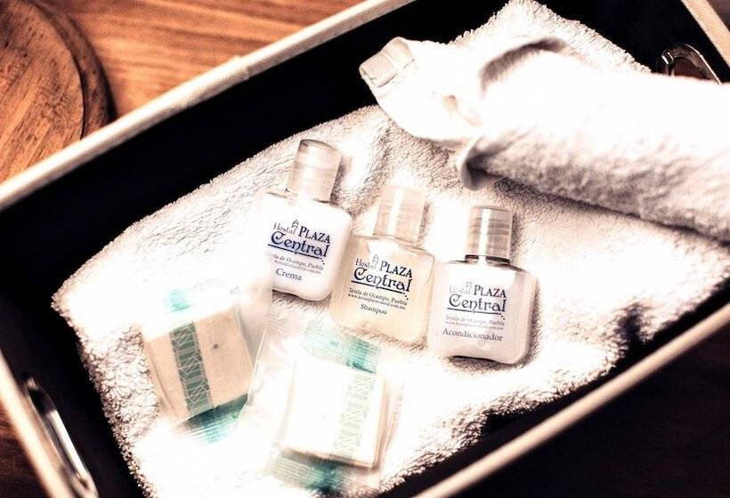 膳宿费 Hostal Plaza Central