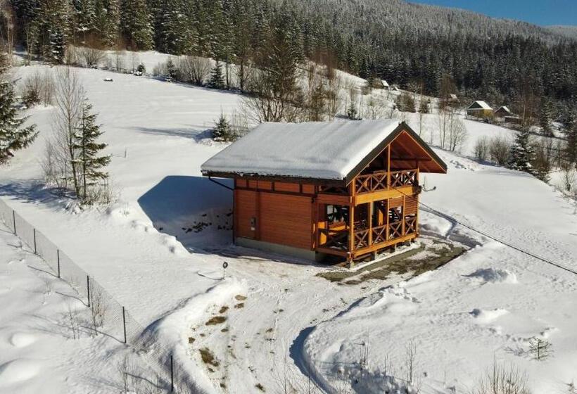 پانسیون Kozichky Guest House