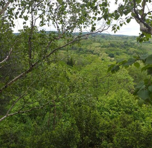 پانسیون Lodging Vidmar