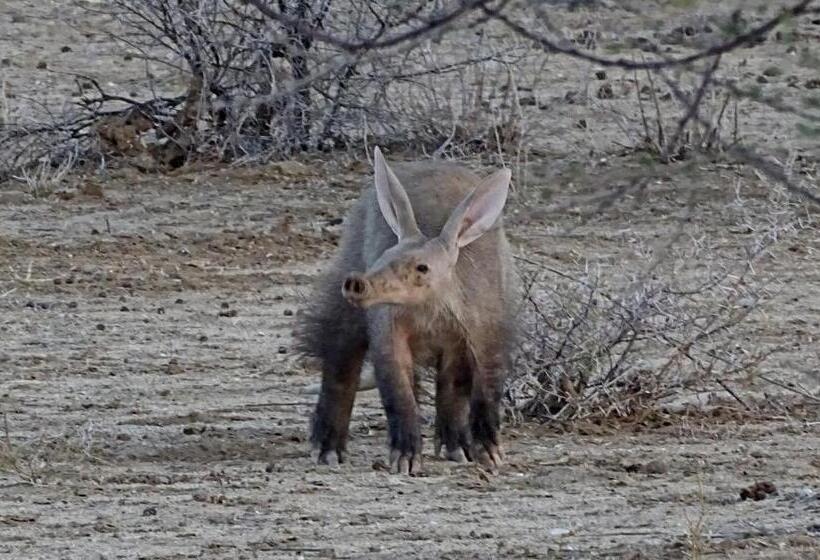 膳宿费 Otjohotozu Guestfarm