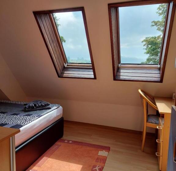 펜션 Penzion U štoly Jáchymov