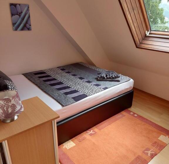 펜션 Penzion U štoly Jáchymov