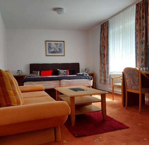 펜션 Penzion U štoly Jáchymov