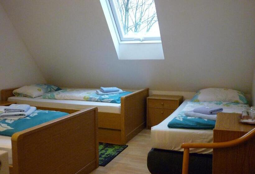 پانسیون Penzion U štoly Jáchymov