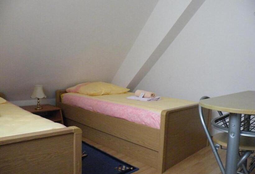 پانسیون Penzion U štoly Jáchymov