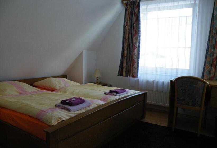 펜션 Penzion U štoly Jáchymov