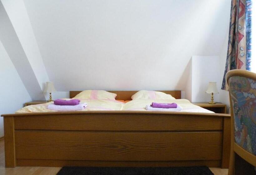 پانسیون Penzion U štoly Jáchymov