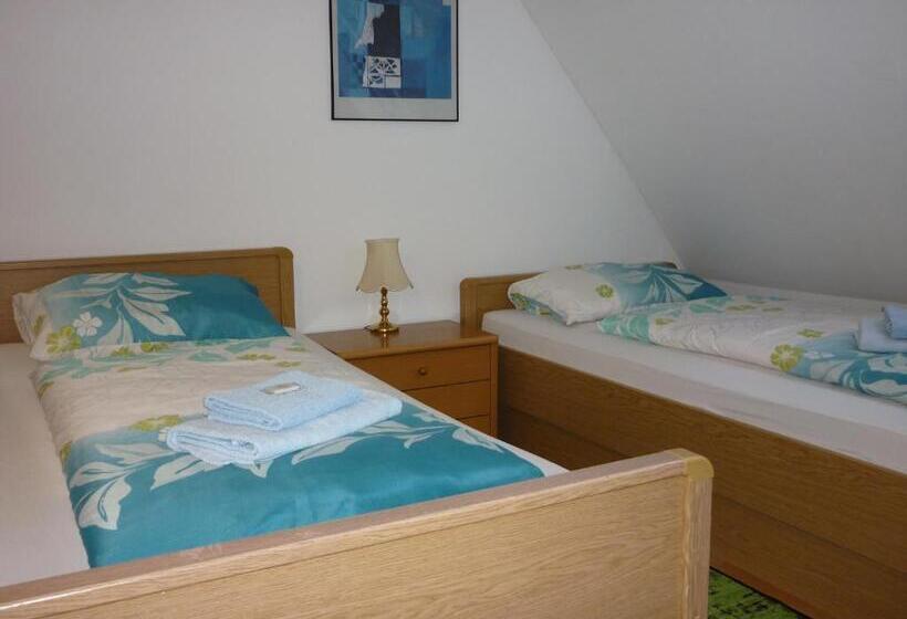 펜션 Penzion U štoly Jáchymov