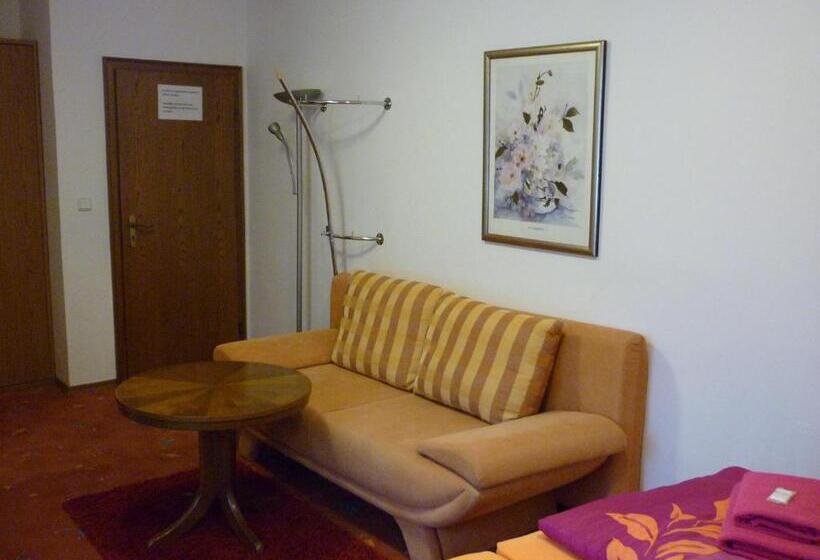 펜션 Penzion U štoly Jáchymov