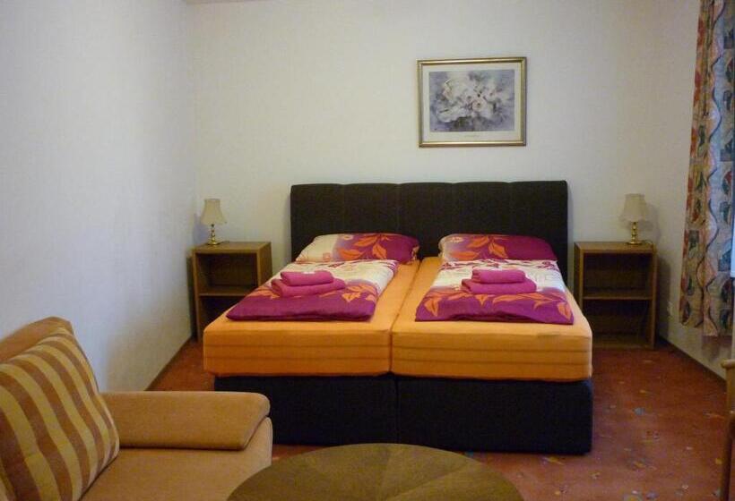 펜션 Penzion U štoly Jáchymov