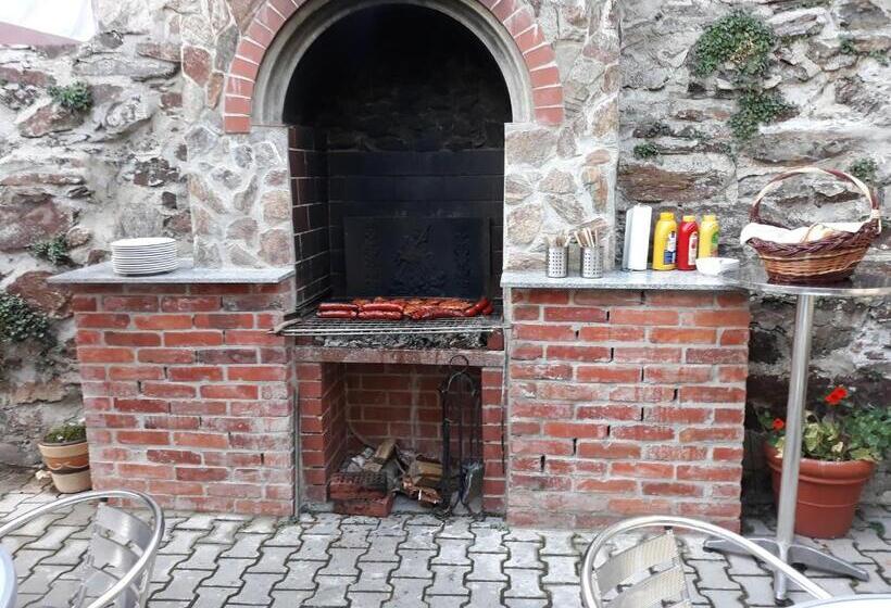 پانسیون Penzion U štoly Jáchymov