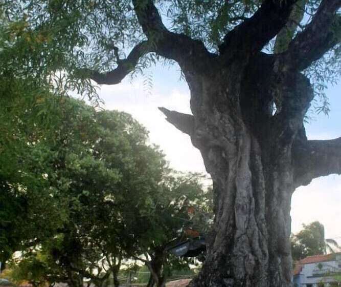 ペンション Pousada Arraial Da Poesia