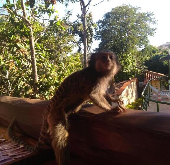 膳宿费 Pousada Bella Vista