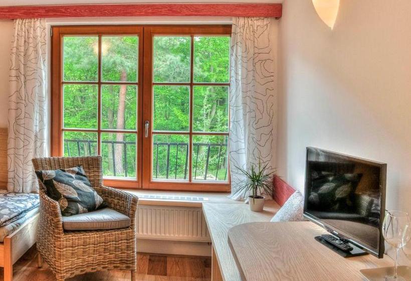 بنسيون Statek Samsara